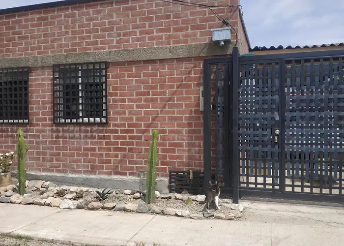 Loft Para 2 En Concon