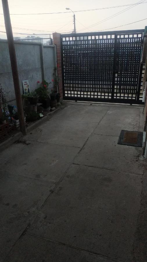 Homestay Loft 2 En