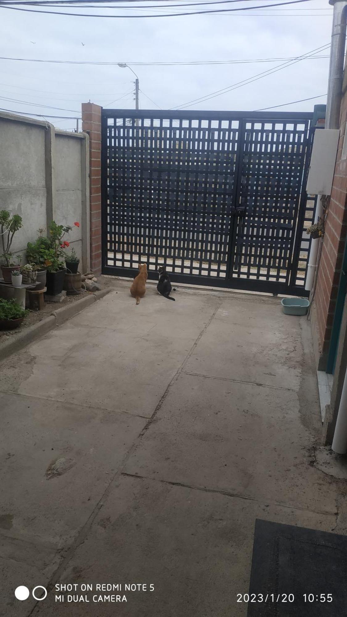 Homestay Loft 2 En *